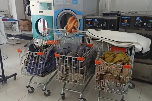 Elit Kuru Temizleme halı stor koltuk yıkama - Resim 20