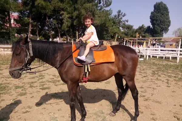 Polo Binicilik At Çiftliği - Resim 4