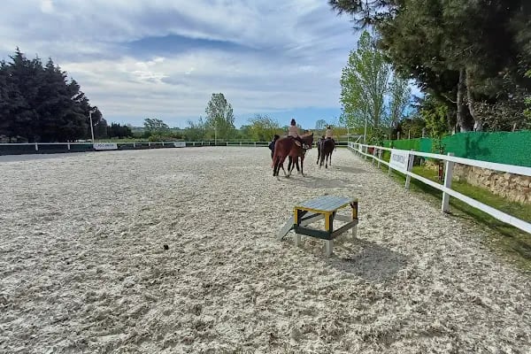 Polo Binicilik At Çiftliği - Resim 13