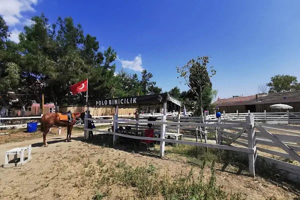Polo Binicilik At Çiftliği - Resim 3