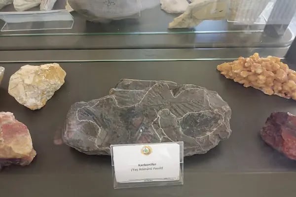 Ormancılık Müzesi - Resim 11