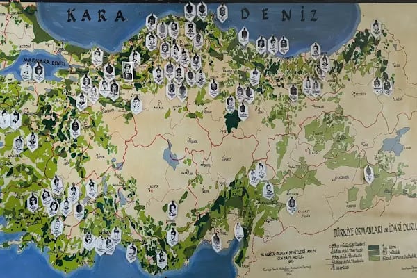 Ormancılık Müzesi - Resim 12