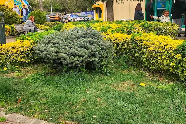 PTT Bahçeşehir Şubesi - Resim 2