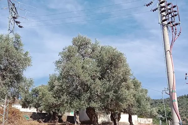 Bayındır Kaplıcaları - Resim 20