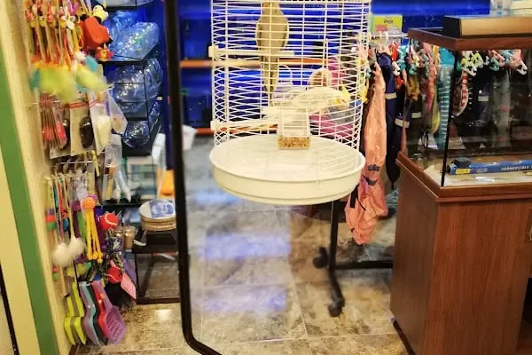 Sakvaryum petshop - Resim 3