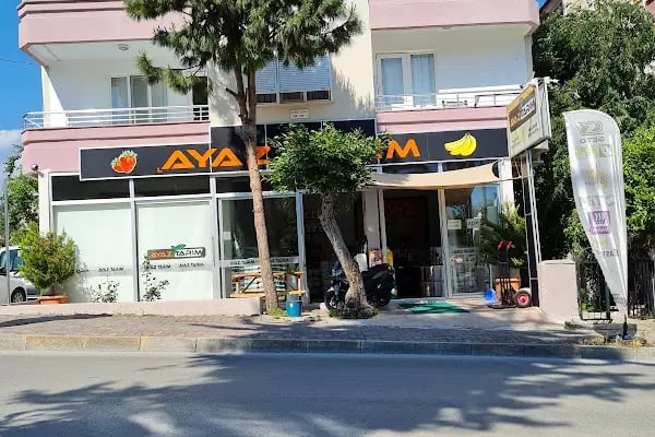 AYAZ TARIM - Resim 1