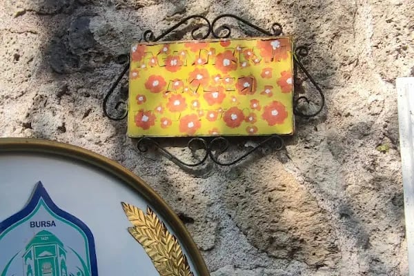 Irgandı sanat galerisi - Resim 8