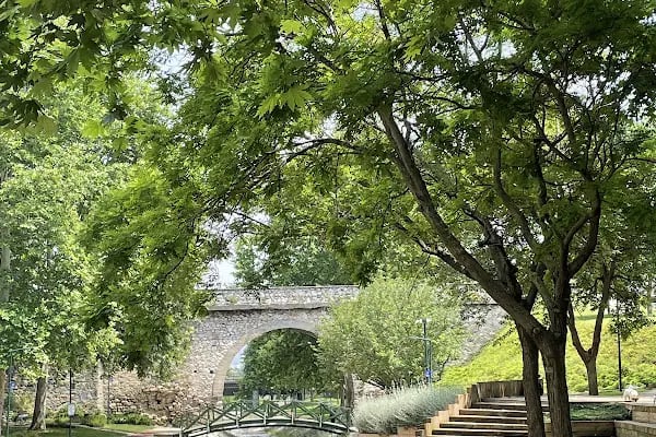 Irgandı sanat galerisi - Resim 4