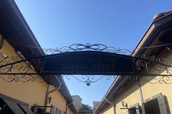 Irgandı sanat galerisi - Resim 7
