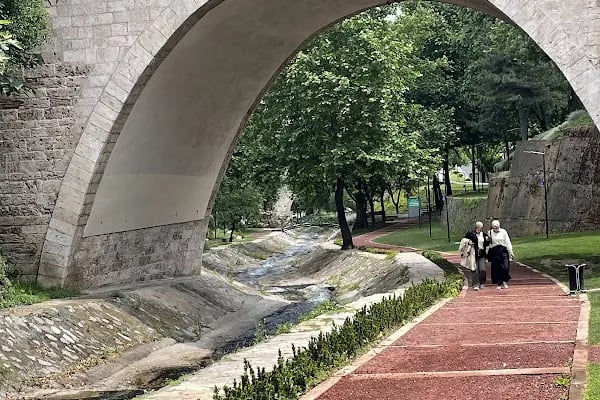 Irgandı sanat galerisi - Resim 5