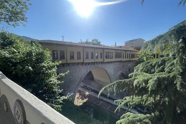Irgandı sanat galerisi - Resim 3