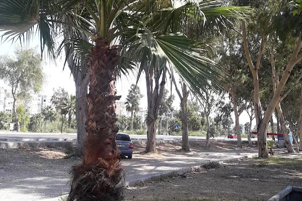 80. Yıl Cumhuriyet Parkı - Resim 17