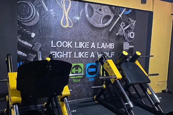 WOLVES SPORTS CLUB - Resim 4