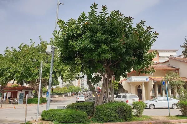 Alanya Turizm Danışma Bürosu - Resim 19