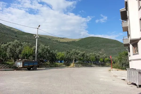 Gemlik Osmaniye Mahallesi Camii - Resim 15