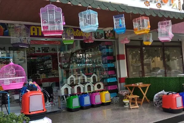 Atlas petshop 2 Bahçelievler - Resim 15