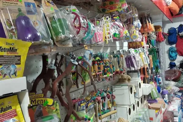 Atlas petshop 2 Bahçelievler - Resim 9
