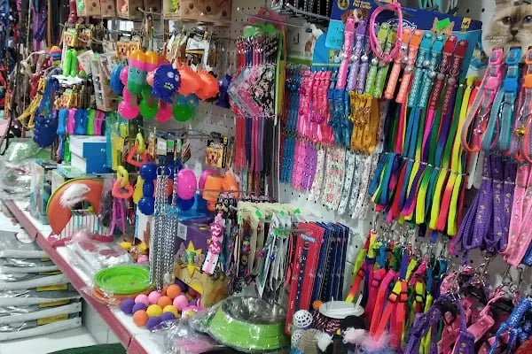 Atlas petshop 2 Bahçelievler - Resim 6