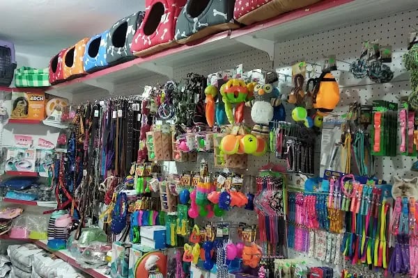 Atlas petshop 2 Bahçelievler - Resim 3