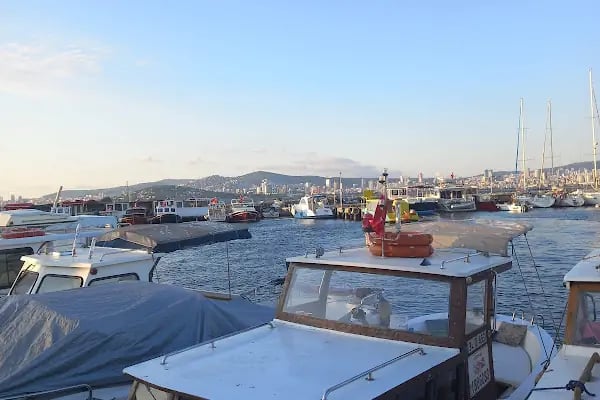 Horoz Çay Bahçesi - Resim 4