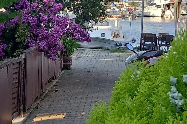 Horoz Çay Bahçesi - Resim 15