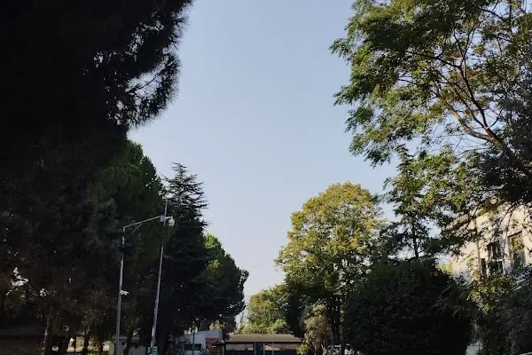 Borusan Boru Gemlik Yerleşkesi - Resim 15