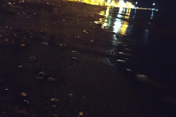 Borusan Boru Gemlik Yerleşkesi - Resim 17