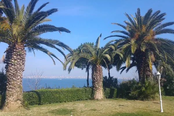Park - Resim 12