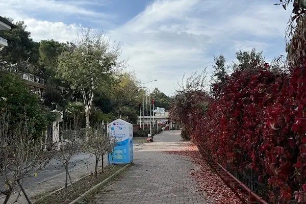 Park - Resim 6