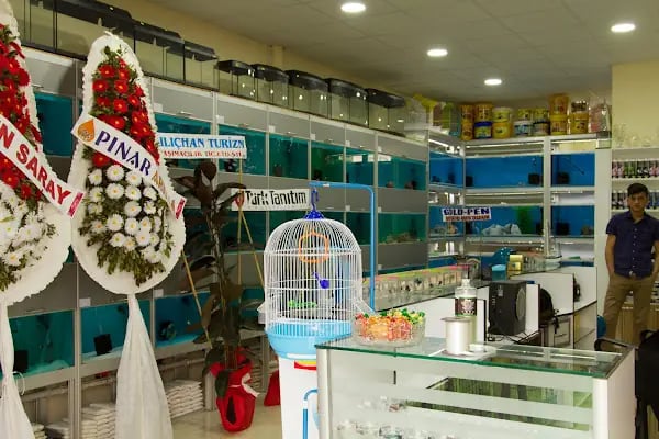 Mekân Malawi Petshop & Akvaryum - Resim 5