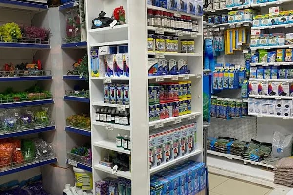 Mekân Malawi Petshop & Akvaryum - Resim 10
