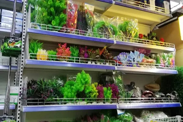 Mekân Malawi Petshop & Akvaryum - Resim 12