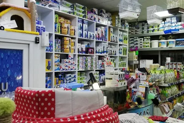 Mekân Malawi Petshop & Akvaryum - Resim 11