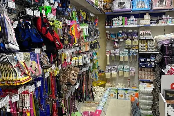 Mekân Malawi Petshop & Akvaryum - Resim 3