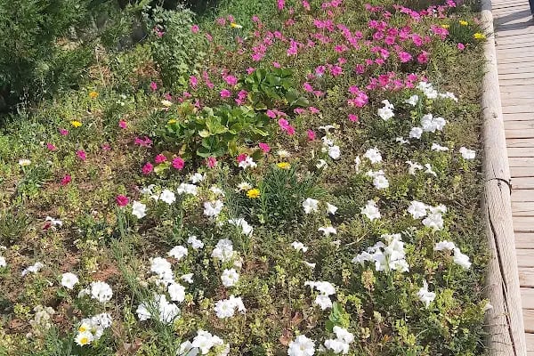 UCARI LAKE - UCARI GÖLETİ - Resim 18