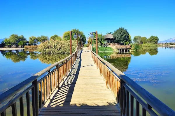 UCARI LAKE - UCARI GÖLETİ - Resim 4