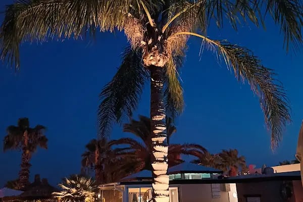 UzHan Beach Hotel - Resim 14