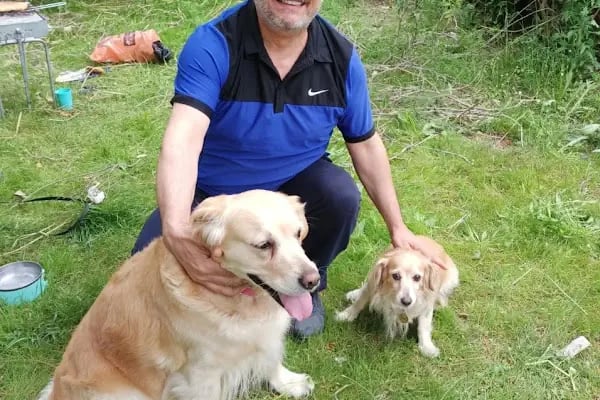 Adana Denizpet Veteriner Kliniği/Yeşilyurt/Baraj yolu - Resim 12