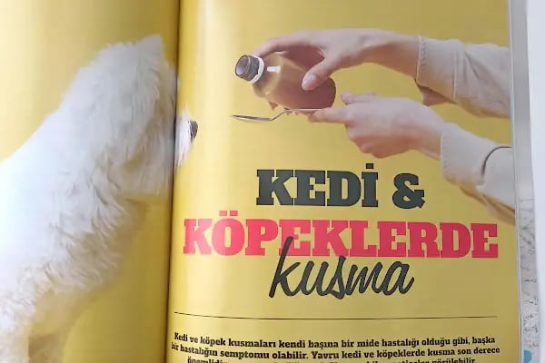 Adana Denizpet Veteriner Kliniği/Yeşilyurt/Baraj yolu - Resim 18