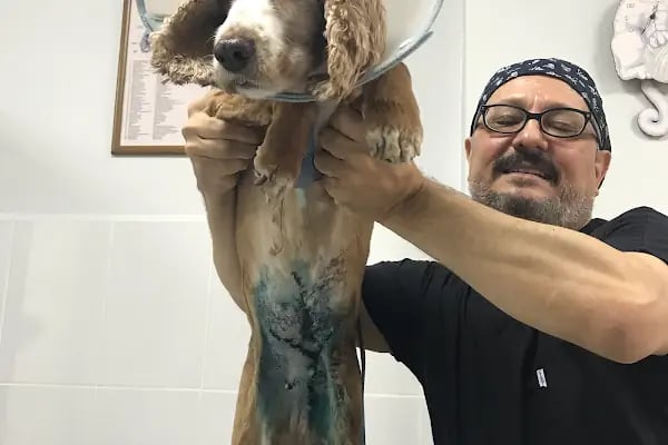 Adana Denizpet Veteriner Kliniği/Yeşilyurt/Baraj yolu - Resim 15