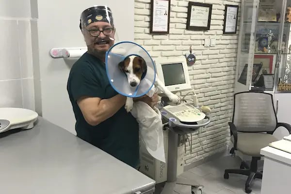 Adana Denizpet Veteriner Kliniği/Yeşilyurt/Baraj yolu - Resim 8
