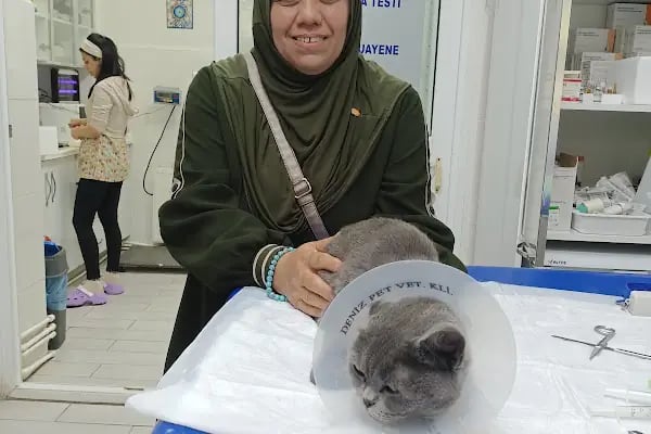 Adana Denizpet Veteriner Kliniği/Yeşilyurt/Baraj yolu - Resim 9