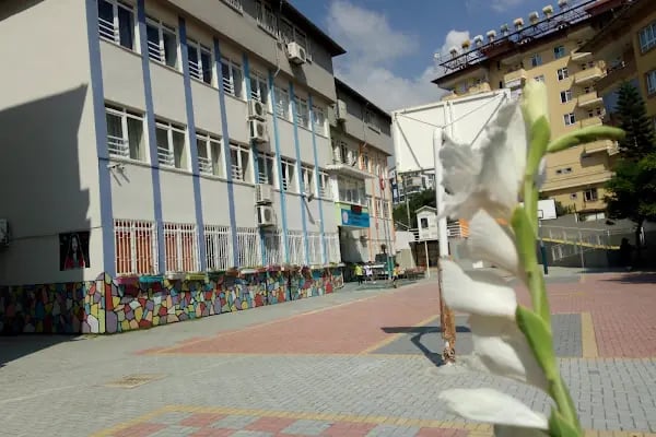 Ayşe Melahat Erkin İlkokulu - Resim 12