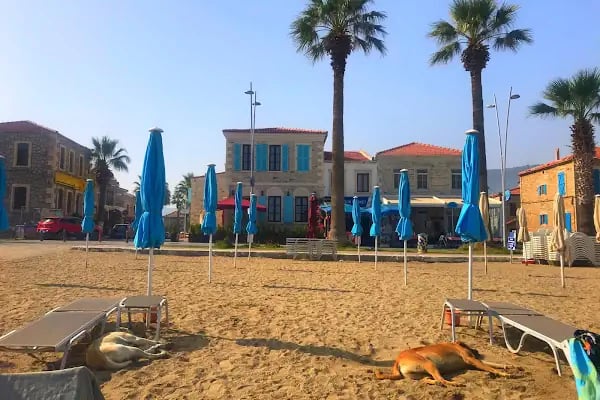 Marina Foça Hotel - Resim 16