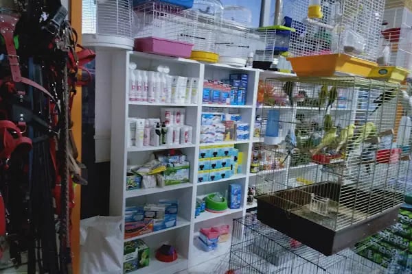 ELAPETSHOP-KONYA - Resim 10