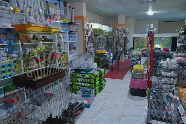 ELAPETSHOP-KONYA - Resim 16
