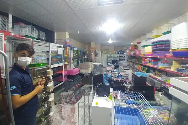 ELAPETSHOP-KONYA - Resim 13
