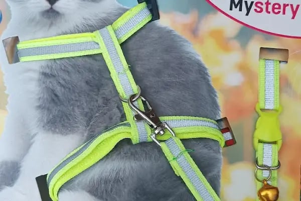 ELAPETSHOP-KONYA - Resim 20