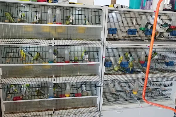 ELAPETSHOP-KONYA - Resim 18