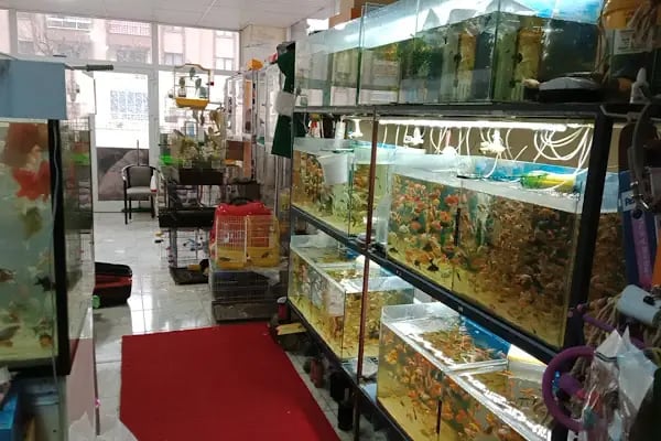 ELAPETSHOP-KONYA - Resim 17